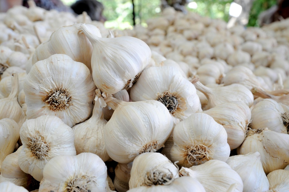 Fresh White Garlic - Preserving Compound: Chemical Preservatives As Per Norms