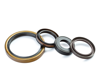 Oil Seals Rotary Shaft Seals - Color: Silver