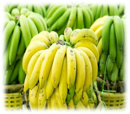 Fresh Banana - Color: Yellow