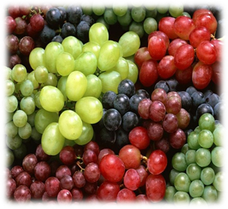 Fresh Grape - Color: Any Color
