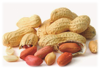 Fresh Peanuts - Color: Brown