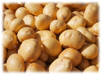 Fresh Potatoes - Moisture (%): 75% To 85%