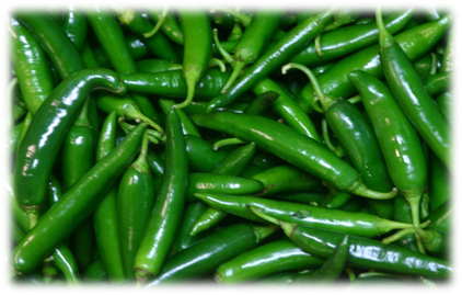 Green Chilli - Moisture (%): 75% To 85%