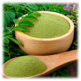 Moringa Powder - Application: Ayurvedic