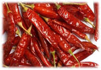 Red Chilli