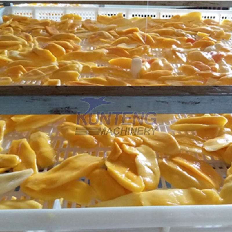Fruit And Vegetable Drying Processing Machine Grape Raisin Drying Machine Mango Dryer Machine - Color: Customize