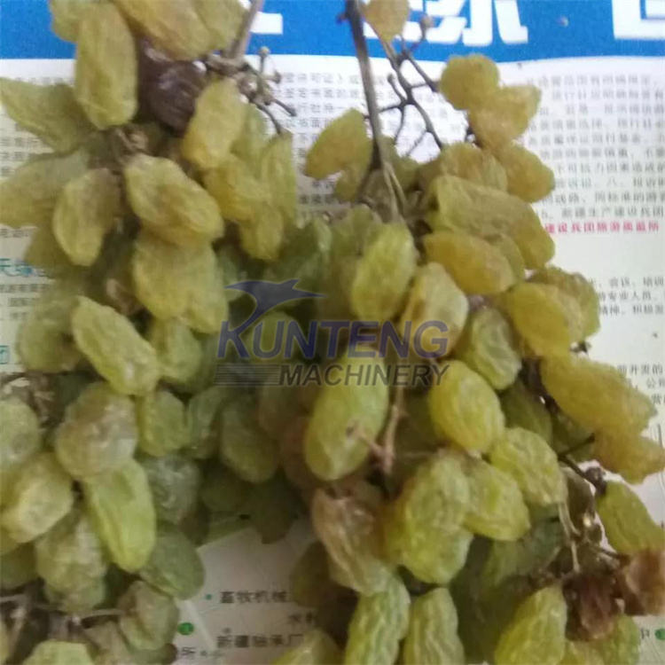 Fruit and Vegetable Drying Processing Machine Grape Raisin Drying Machine mango Dryer Machine