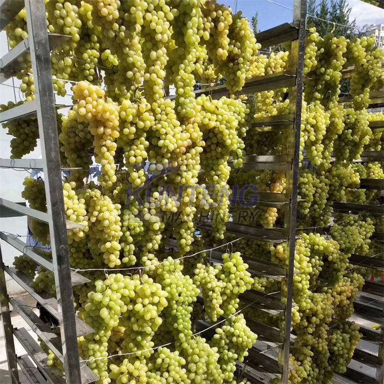 Heat Pump Tray Dryer Spice Drying Machine Black Pepper Dryer Cardamom Drying Machine - Color: Customized