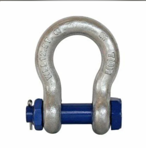 Forged D Shackle