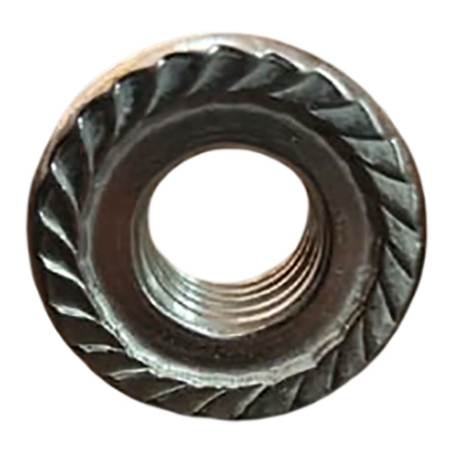 stainless steel Flanges Nuts