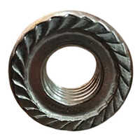 Flanges Nuts