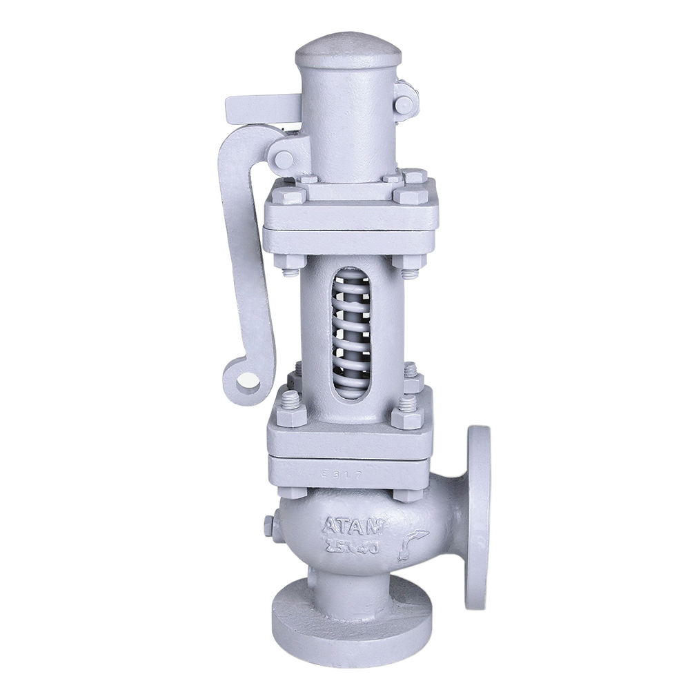 Steam Safety Valves