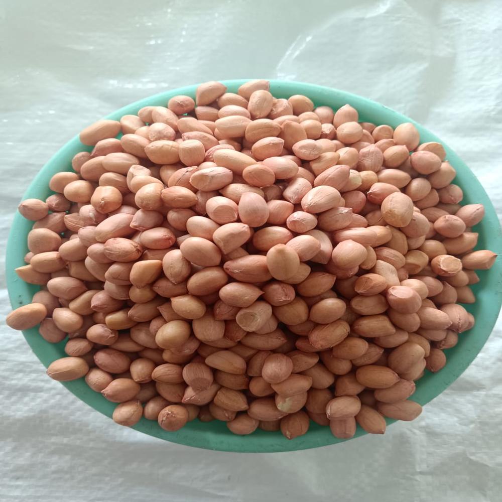 Groundnut Seeds