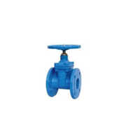 Gate Valve