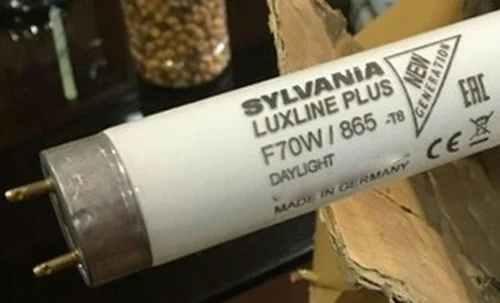 Sylvnia F70T8 865-G13 Tube Light