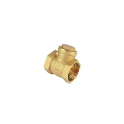 Check Valve - Application: Industrial