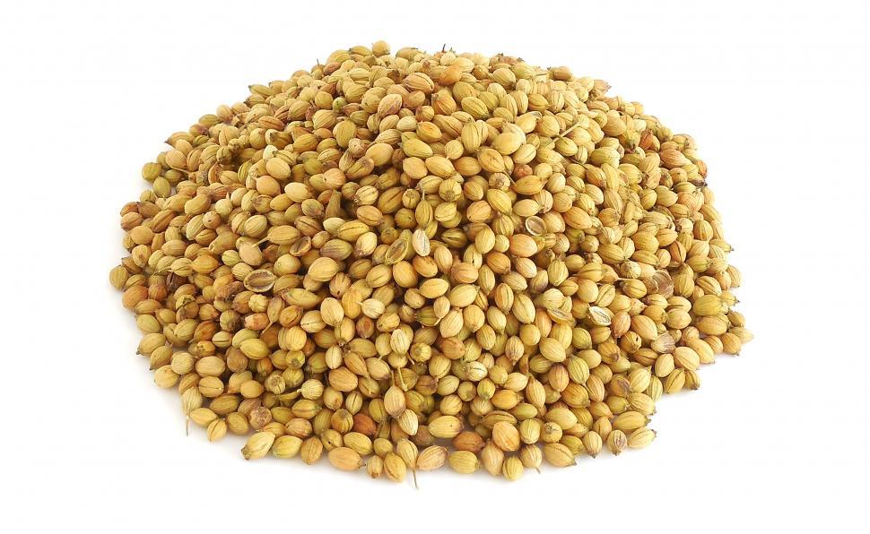 Coriander Seeds
