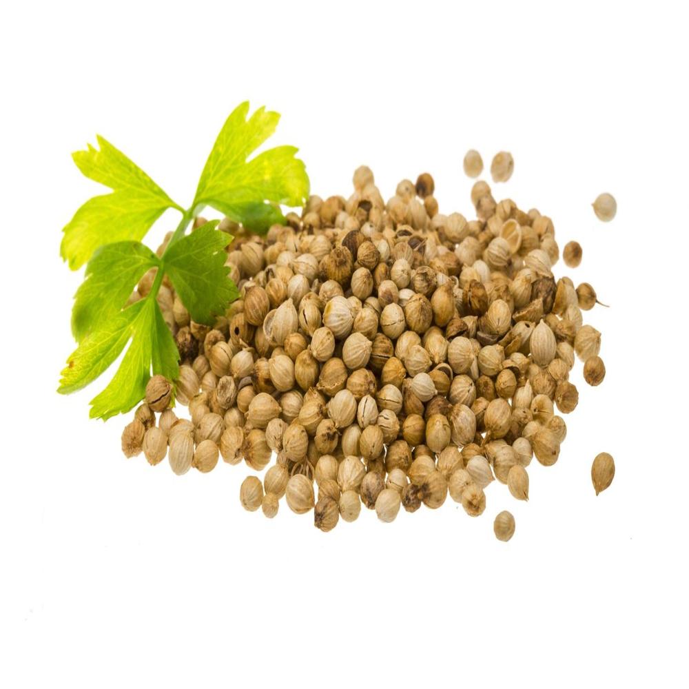 Coriander Seeds