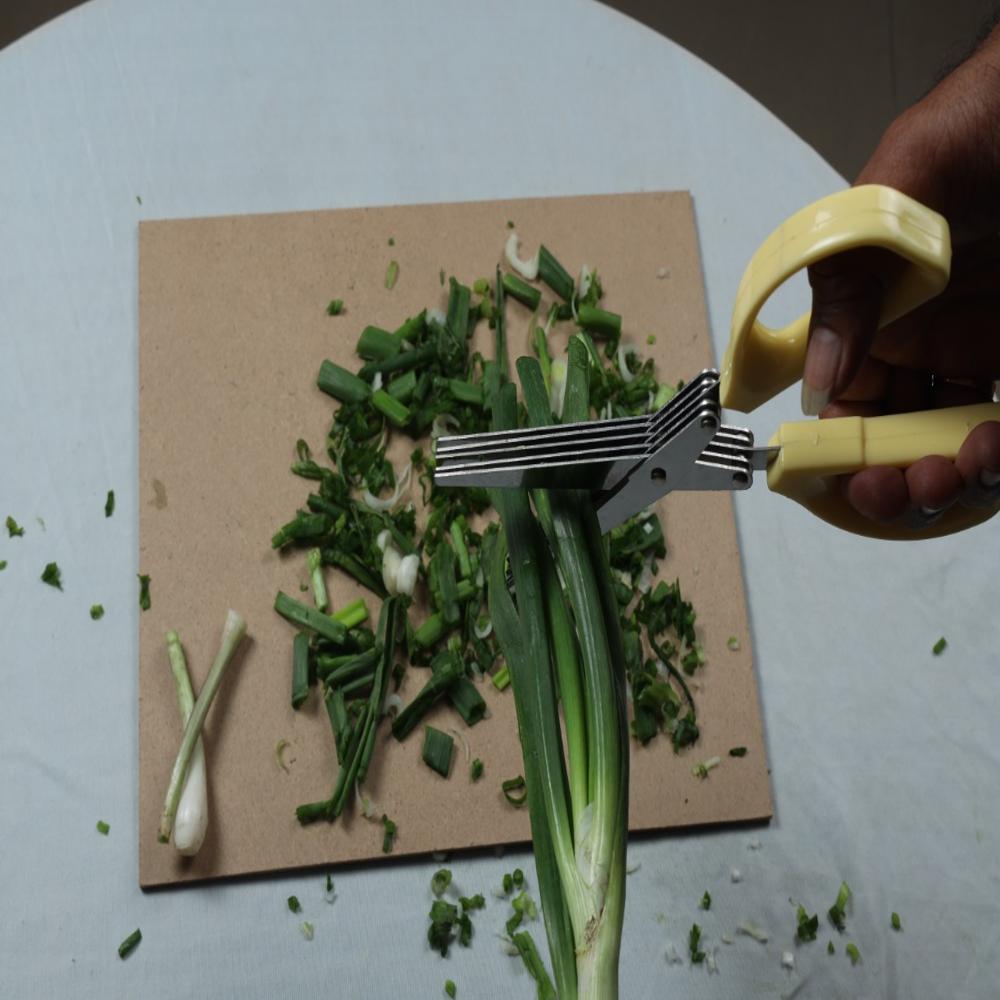 Kitchen Herb Scissor - Stainless Steel & Plastic, 22x7.5x2 Cm, Multicolor | Manual Cutting Blades For Vegetables & Fruits