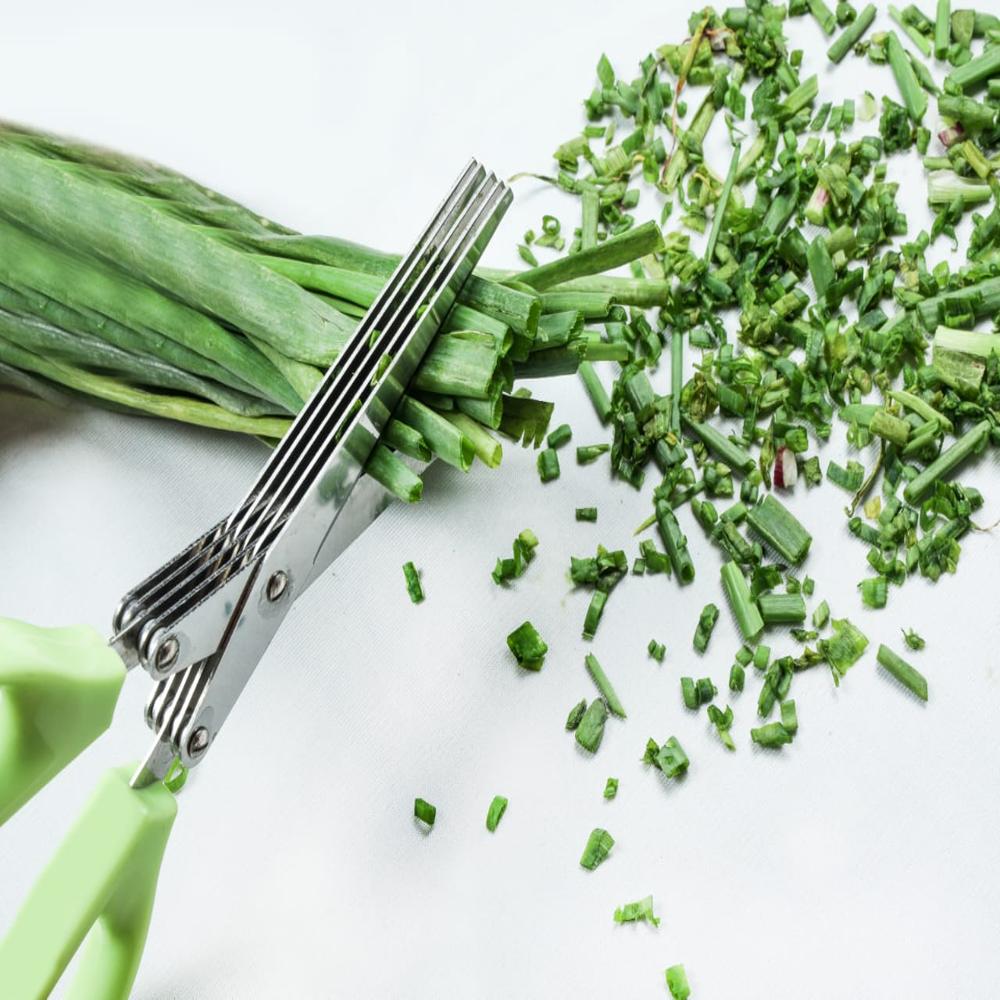 Kitchen Herb Scissor - Stainless Steel & Plastic, 22x7.5x2 Cm, Multicolor | Manual Cutting Blades For Vegetables & Fruits
