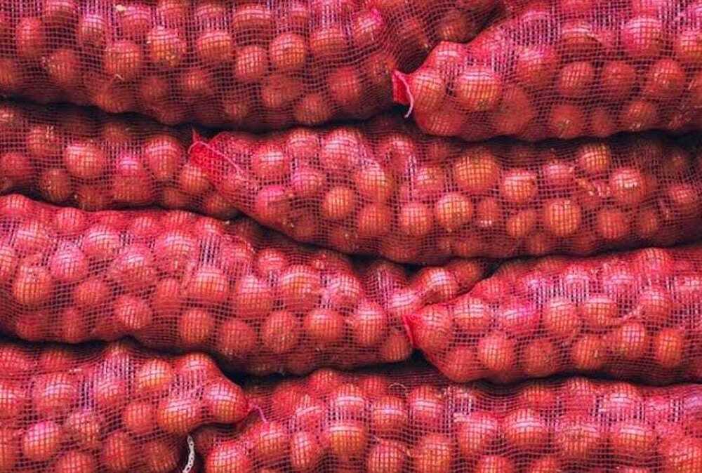 Red Onion - Cultivation Type: Organic