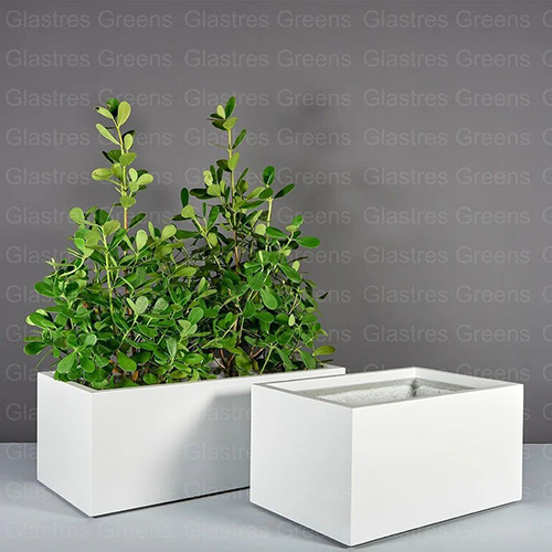 Frp Planter - Color: White