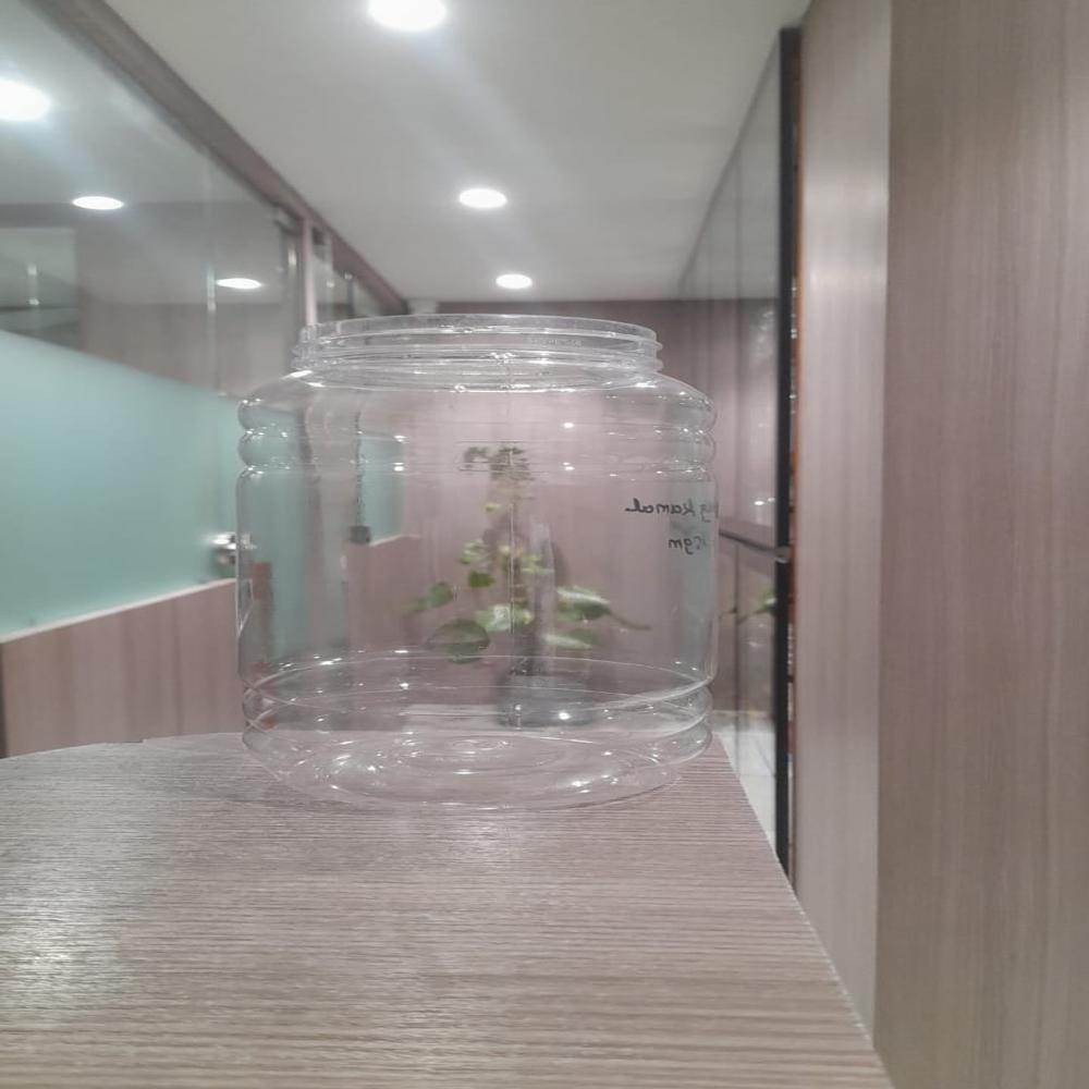 Kamal Jar - Color: Transparent