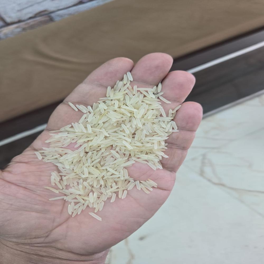 1509 Sella Basmati Rice