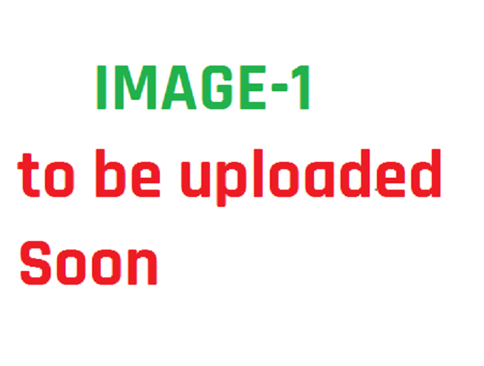 Special Purpose Machine Design Service