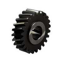 Steel Black Helical Gear