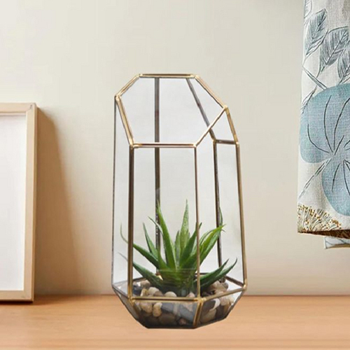 Geometric Glass Terrarium
