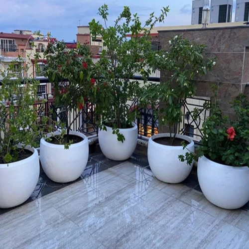 Terrace Garden Designing service