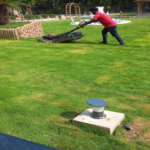 Landscape Gardening And Maintenance Service