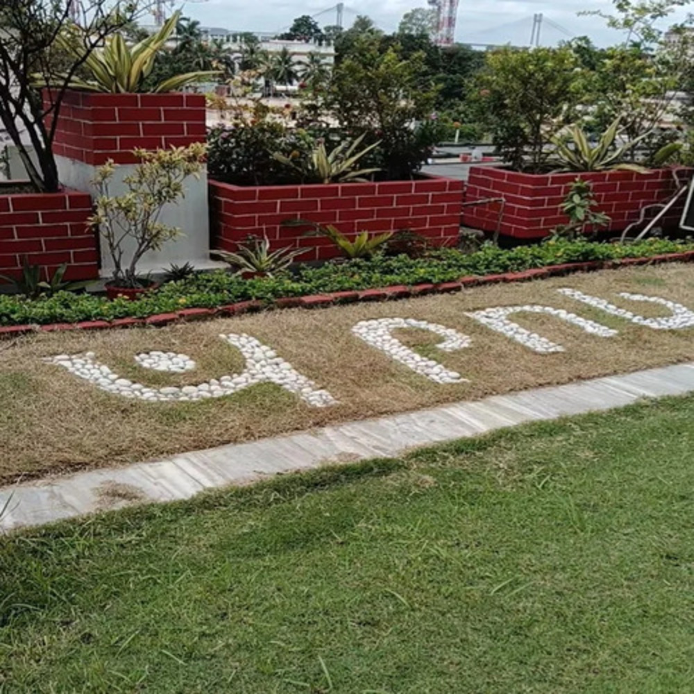 Roof Gardening Services By Green Paradise