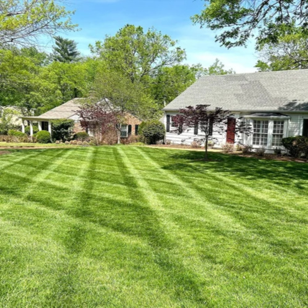 Outdoor Landscape Designing Services - Color: Varied
