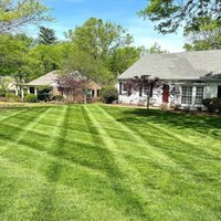 Outdoor Landscape Designing Services - Color: Varied