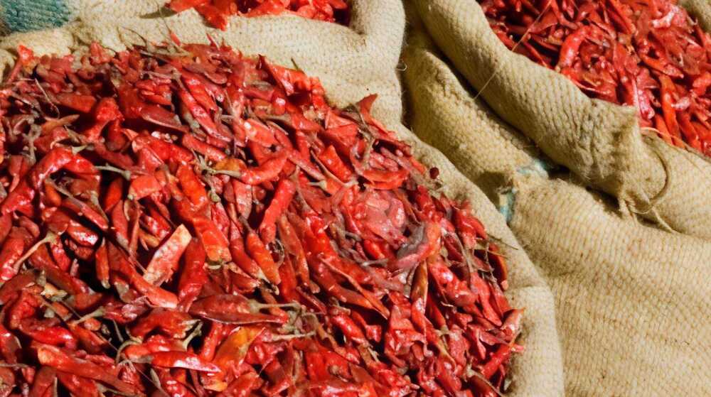 Dry Red Chilli - Flavor: Natural
