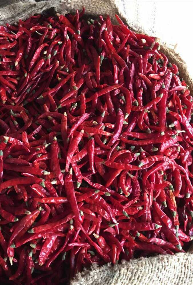 Dry Red Chilli - Flavor: Natural