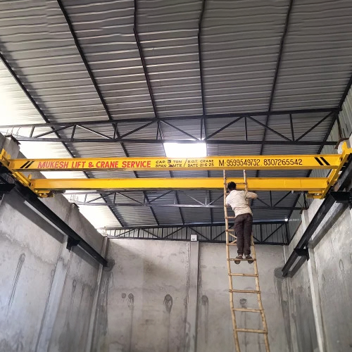 Double Beam EOT Crane