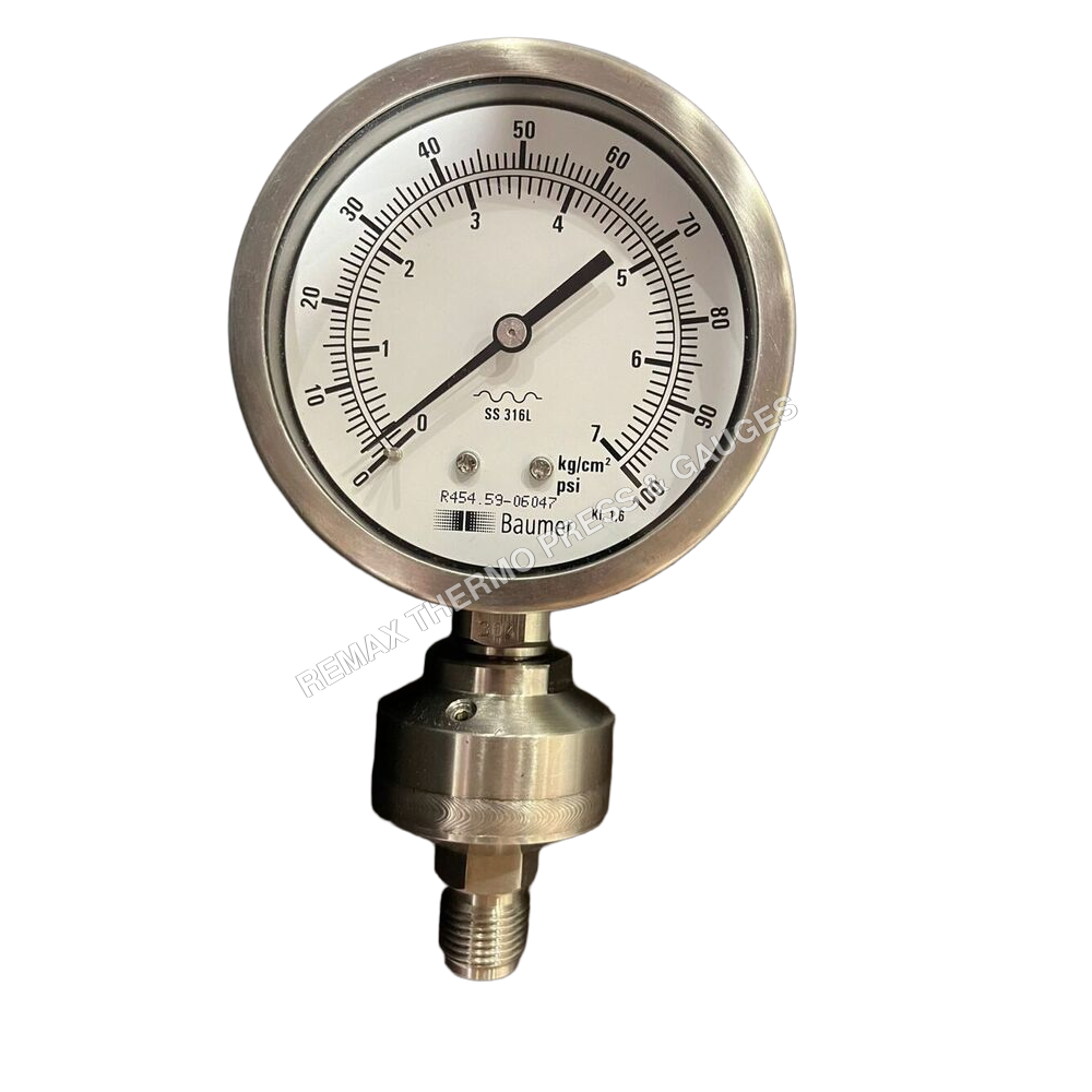 BVF2DG Diaphragm Seal Gauge