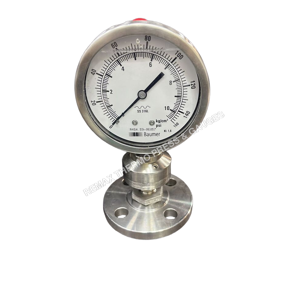 BVF2DJ Diaphragm Seal Gauge