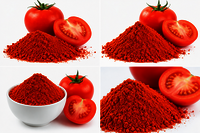 Tomato Dehydrated Powder - Color: Red