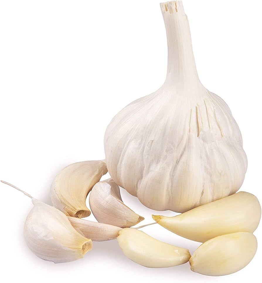 Fresh Garlic - Moisture (%): 60%