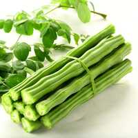 Moringa Drumstick