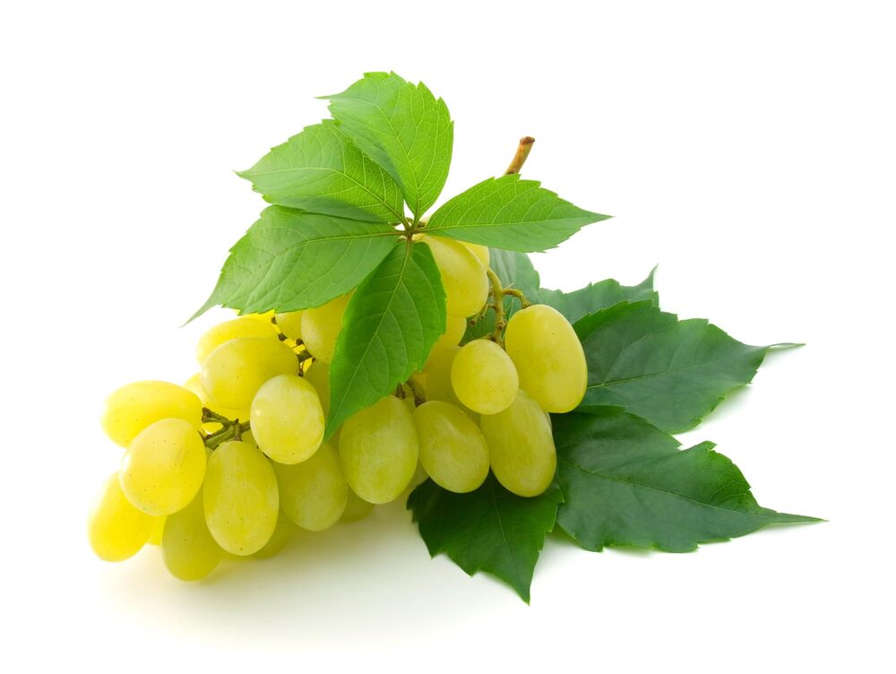 Fresh Grapes - Color: Green