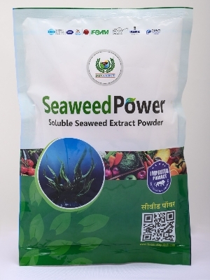 Seaweed Powder - Application: Organic Fertilizer