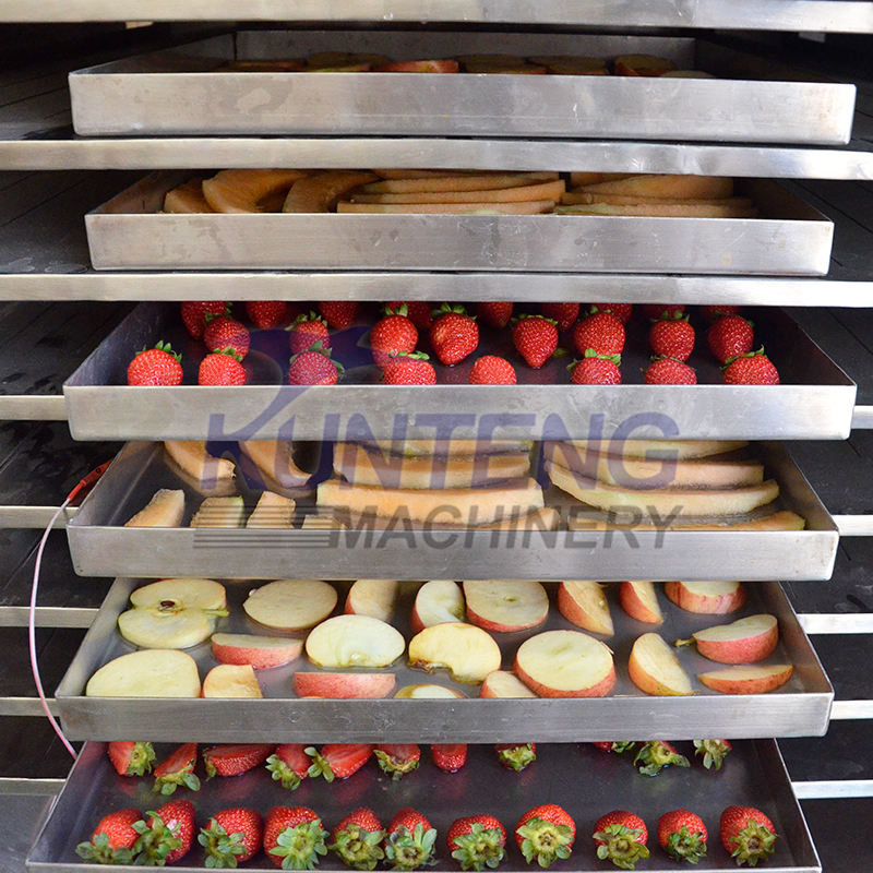 Industrial Food Lyophilizer Freeze Drying Fruit And Vegetable Machine Production Line With Isolator And Freezing Dryer Vacuum Drying Machine - Color: Customized