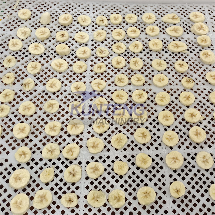 Fruit And Vegetable Dryer Banana Slice Dryer Continuous Mesh Belt Dryer Industrial Food Drying And Processing Line - Capacity: 10/upon Ton/day