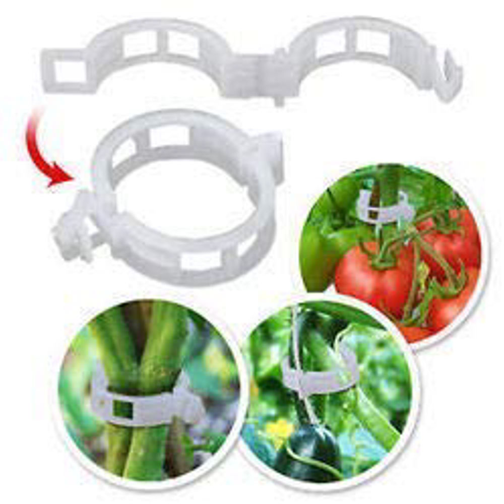 Tomato Clip Ventilated