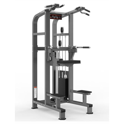 Assisted Dip Chin Up Selectorized